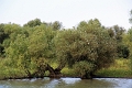 14_delta_090
