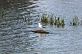 14_delta_098