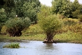 14_delta_101