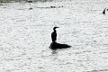 14_delta_103