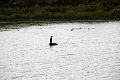 14_delta_104