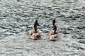 14_delta_111
