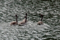 14_delta_112