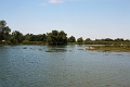 14_delta_113