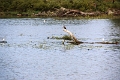 14_delta_114