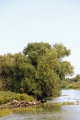 14_delta_116