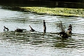 14_delta_134
