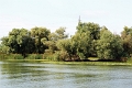 14_delta_138