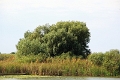 14_delta_139
