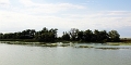 14_delta_140