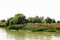 14_delta_141