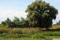 14_delta_142