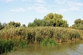 14_delta_143