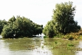 14_delta_145