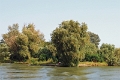 14_delta_147