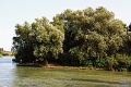 14_delta_148