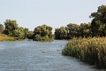 14_delta_153
