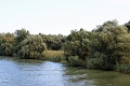14_delta_154