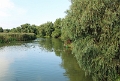 14_delta_155