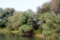 14_delta_156