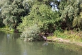 14_delta_157