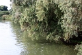 14_delta_159