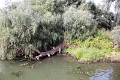 14_delta_160