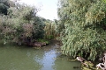 14_delta_161