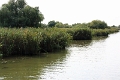 14_delta_163