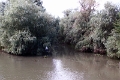 14_delta_168