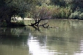 14_delta_169