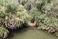 14_delta_174