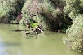 14_delta_176