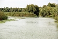 14_delta_186