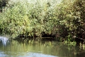 14_delta_188