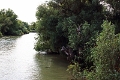 14_delta_194