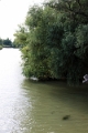14_delta_195