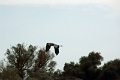 14_delta_202
