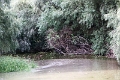 14_delta_203
