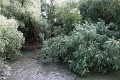 14_delta_204