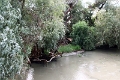 14_delta_205