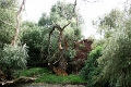 14_delta_206