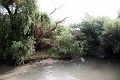 14_delta_207