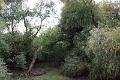 14_delta_209