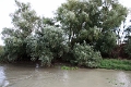 14_delta_211
