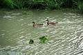 14_delta_215