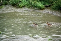 14_delta_216