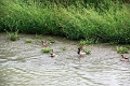 14_delta_219