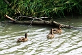 14_delta_221