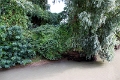 14_delta_223